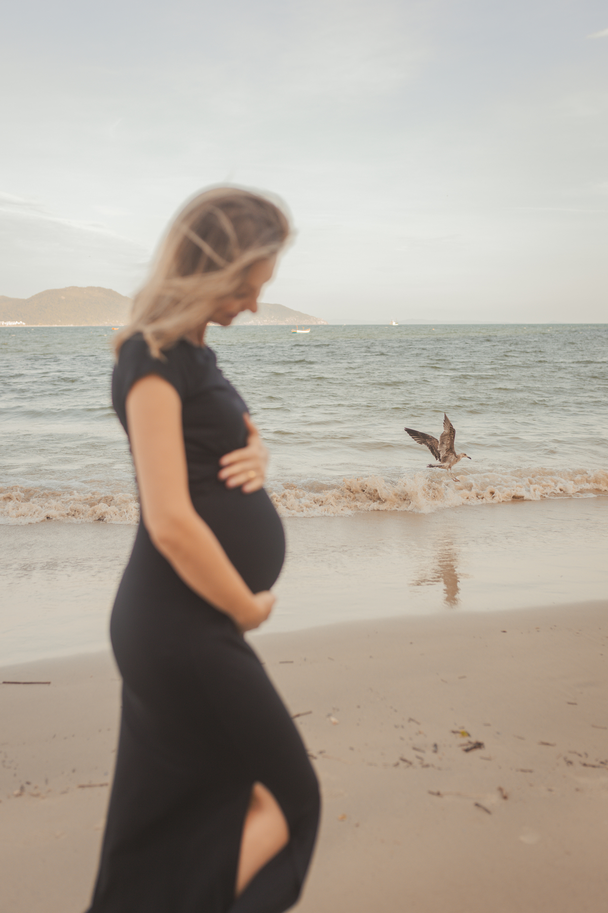 gestante de vestido preto olhando para a barriga na beira do mar. gaivota voando perto