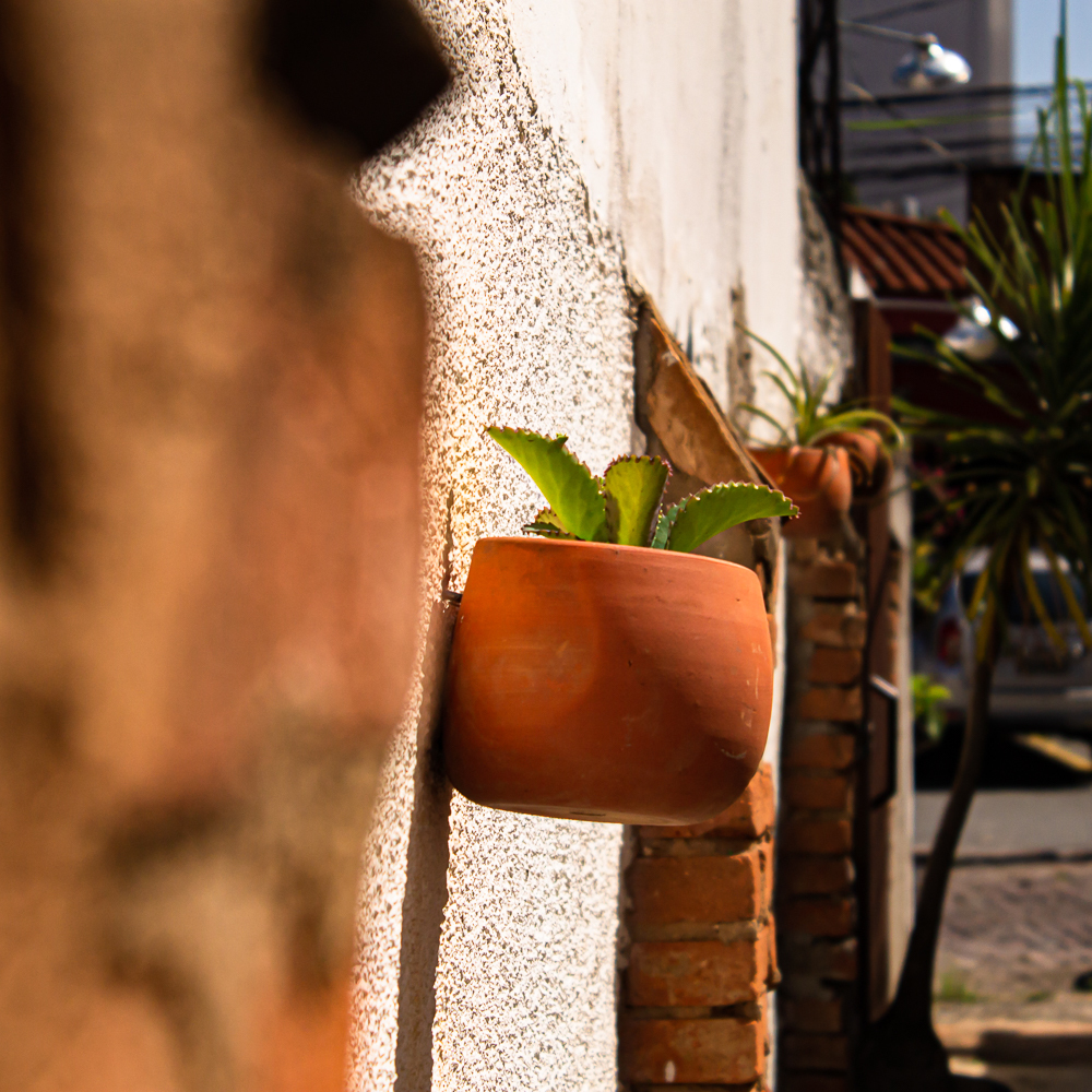 série: paredes e texturas