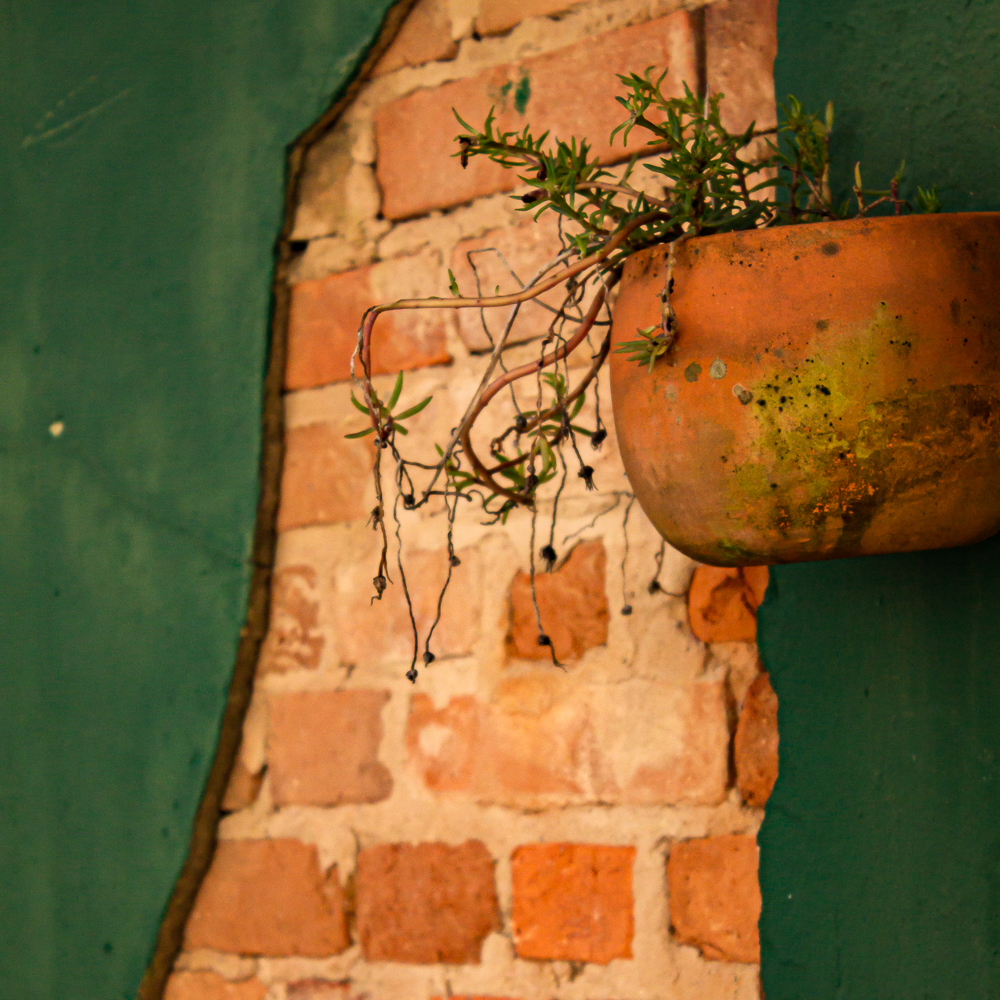 série: paredes e texturas