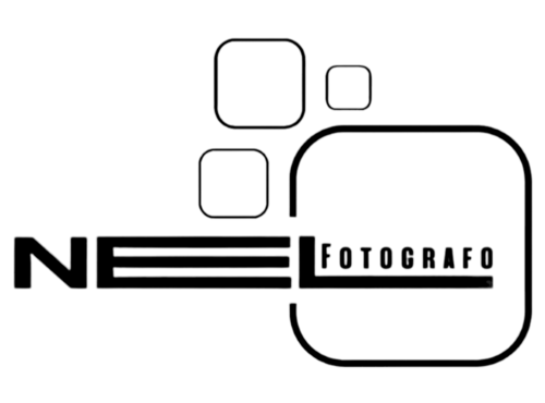 Logotipo de nelson paiva oliveira