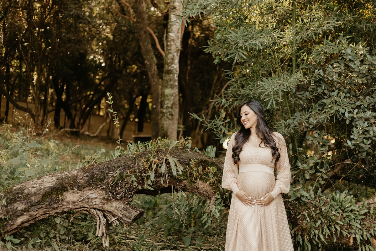 Ensaio Gestante - Pouso Alegre