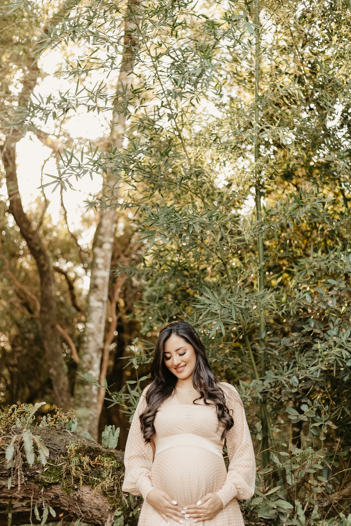 Ensaio Gestante - Pouso Alegre