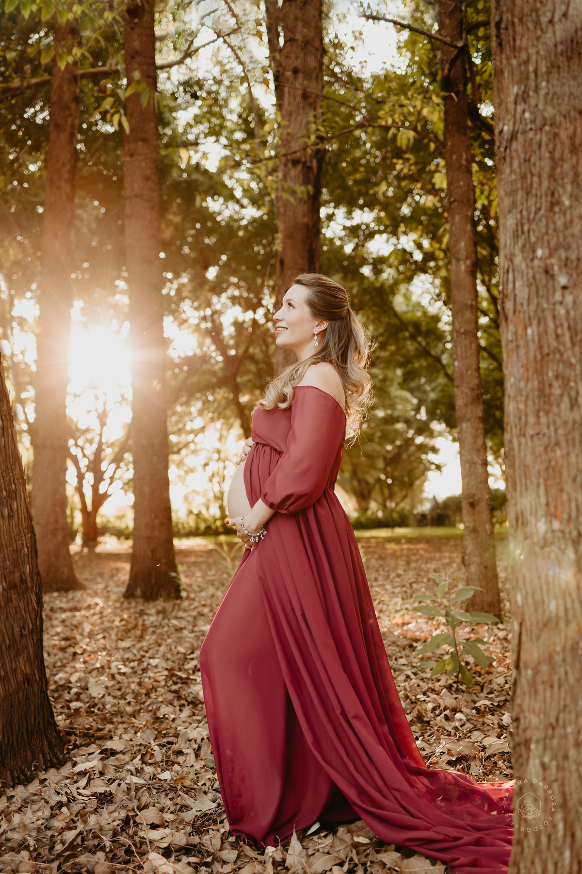 Ensaio Gestante
Pouso Alegre - MG