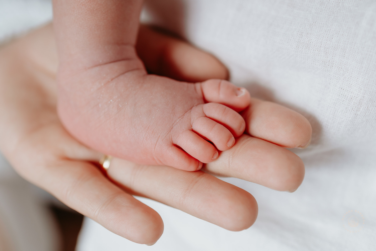 Ensaio Newborn da Zoe
Pouso Alegre - MG