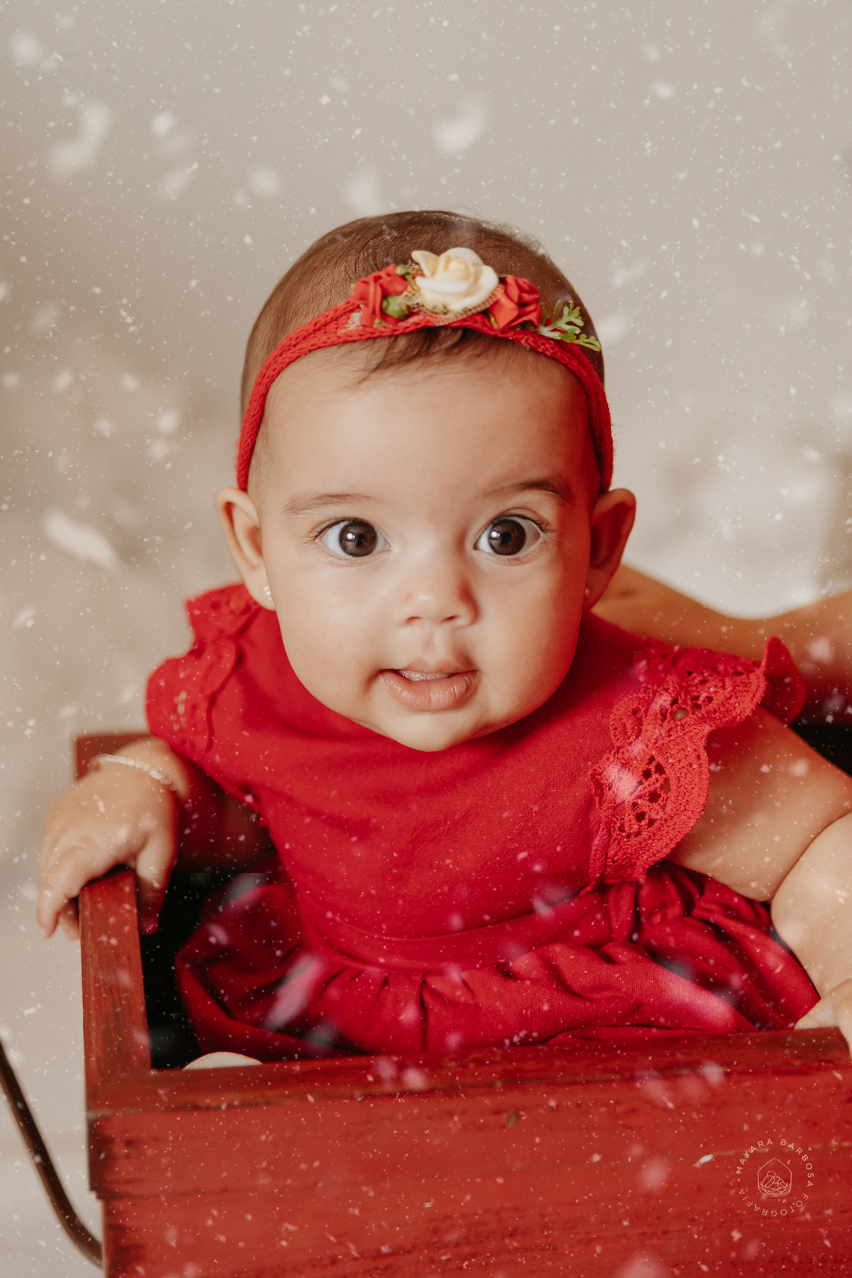 Ensaio de Natal (2022)
Pouso Alegre - MG