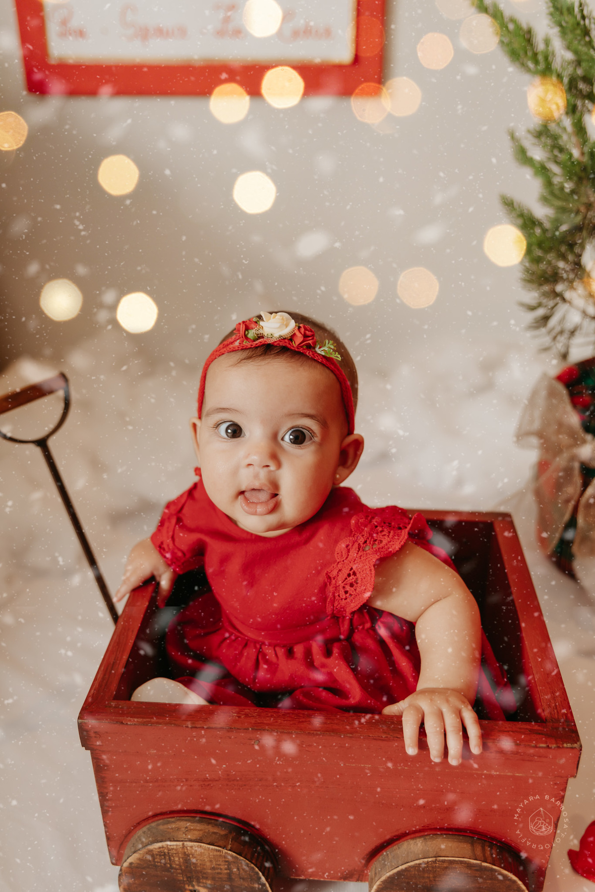 Ensaio de Natal (2022)
Pouso Alegre - MG