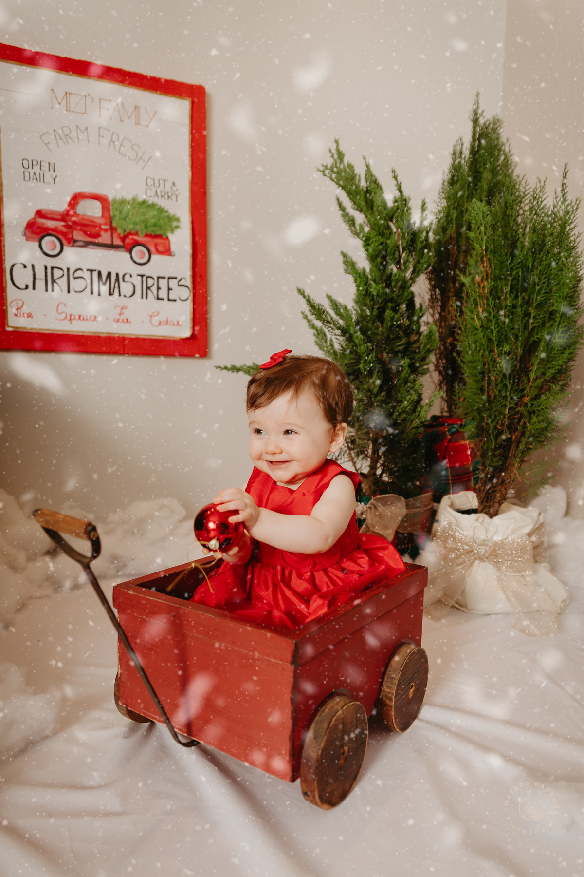 Ensaio de Natal (2022)
Pouso Alegre - MG