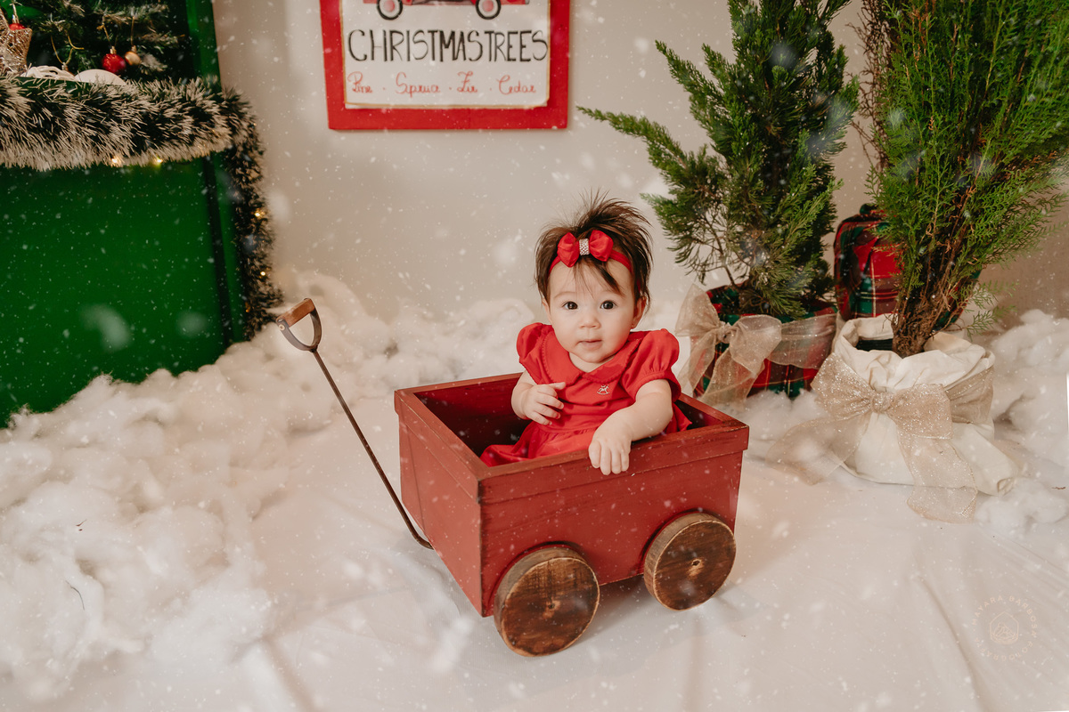 Ensaio de Natal (2022)
Pouso Alegre - MG