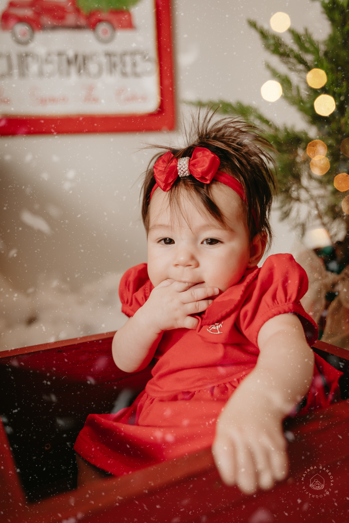 Ensaio de Natal (2022)
Pouso Alegre - MG