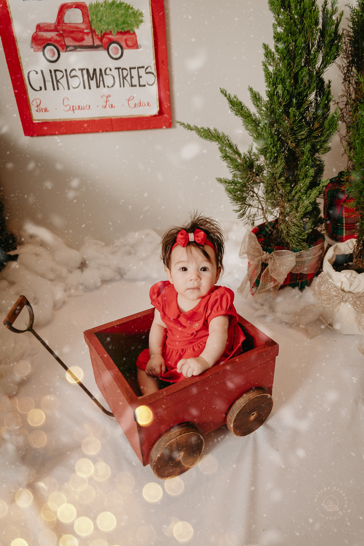 Ensaio de Natal (2022)
Pouso Alegre - MG