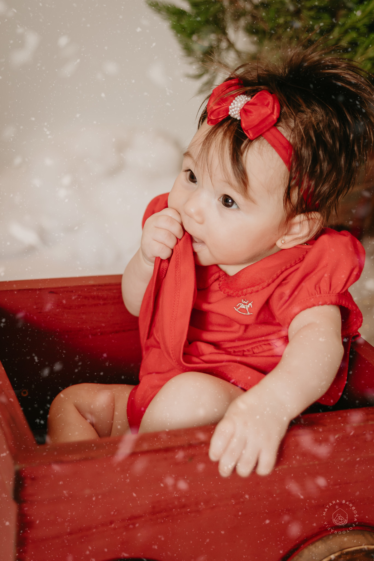 Ensaio de Natal (2022)
Pouso Alegre - MG