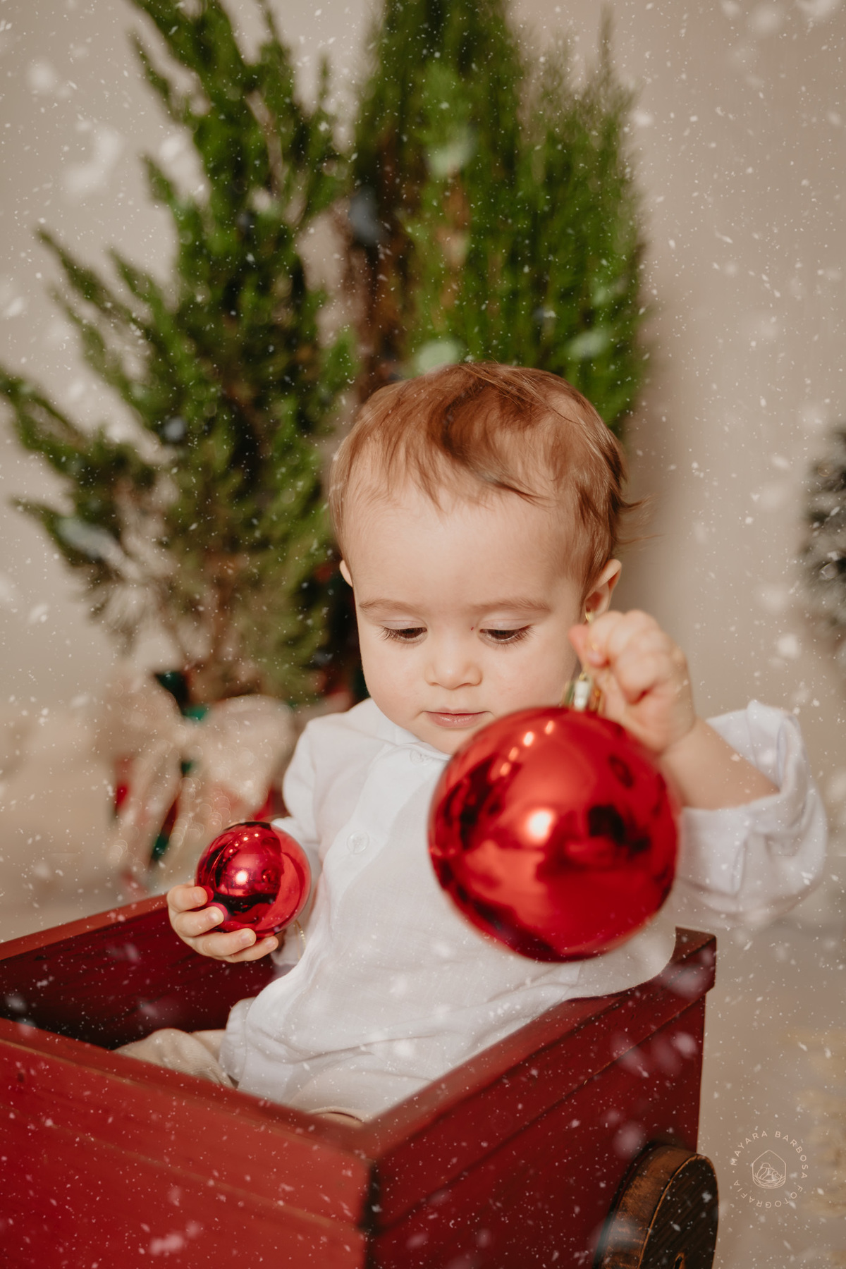 Ensaio de Natal (2022)
Pouso Alegre - MG