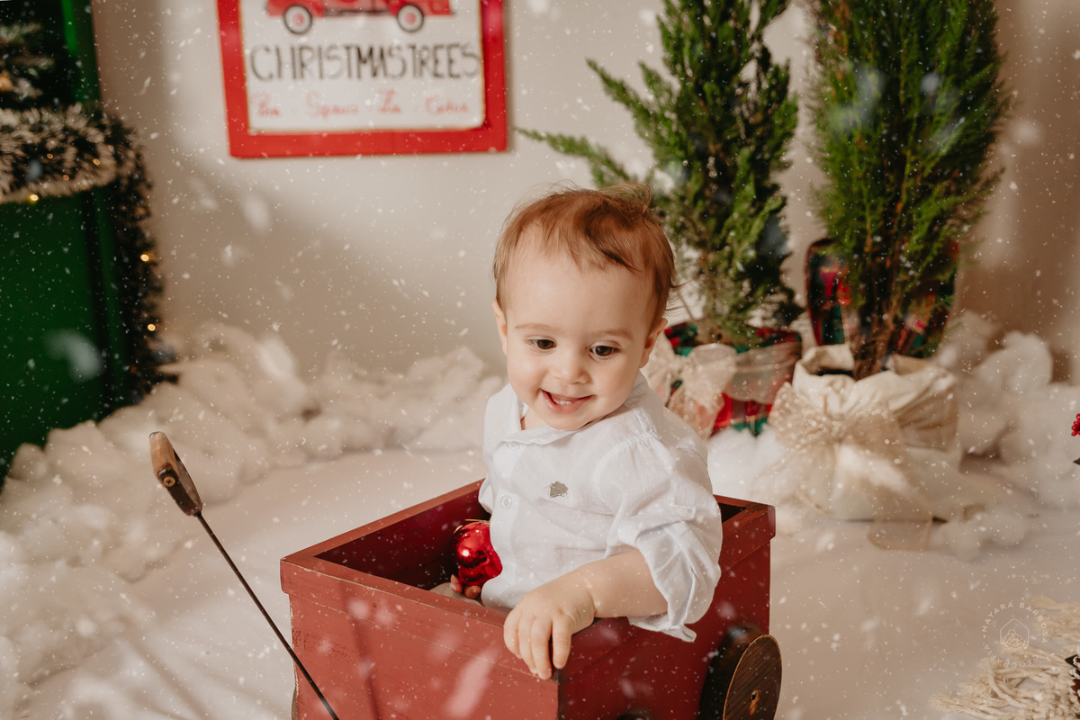 Ensaio de Natal (2022)
Pouso Alegre - MG