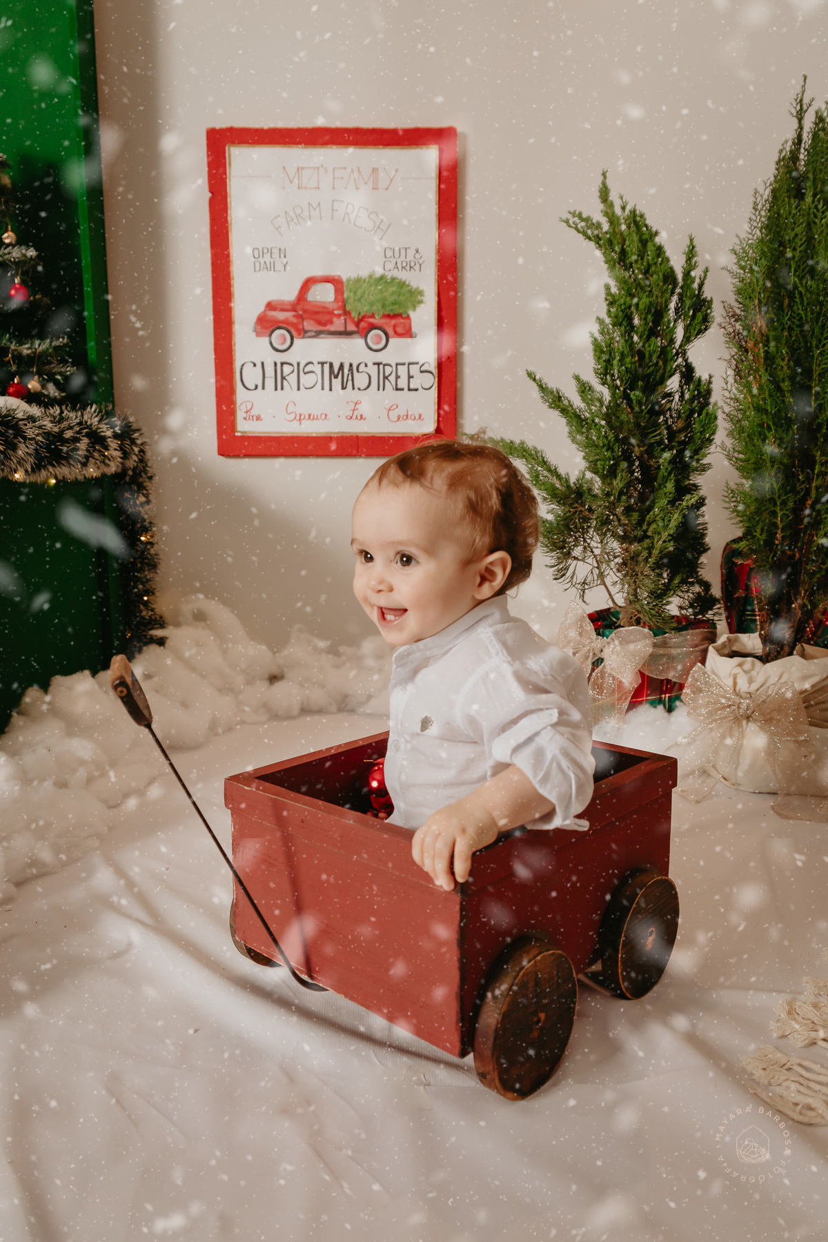 Ensaio de Natal (2022)
Pouso Alegre - MG