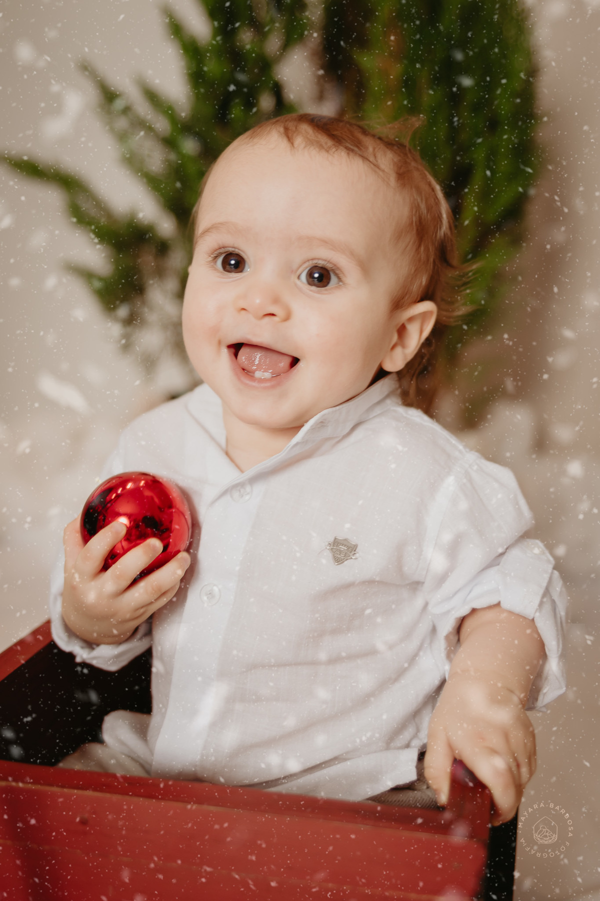 Ensaio de Natal (2022)
Pouso Alegre - MG