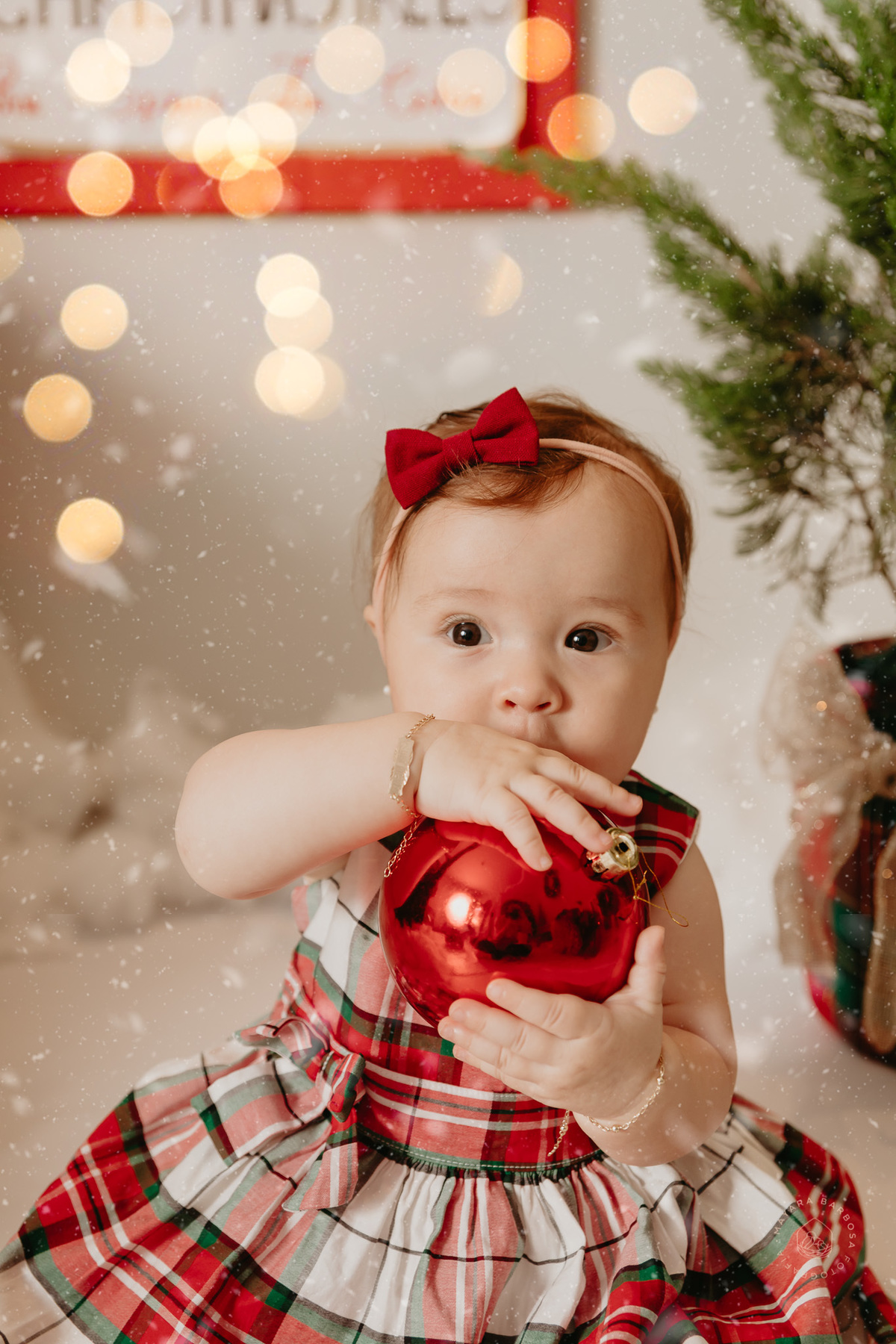 Ensaio de Natal (2022)
Pouso Alegre - MG