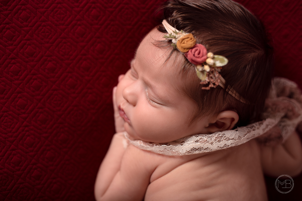 Ensaio Newborn - Os primeiros detalhes da Micaela