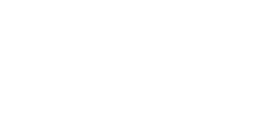 Logotipo de Ana Ludin