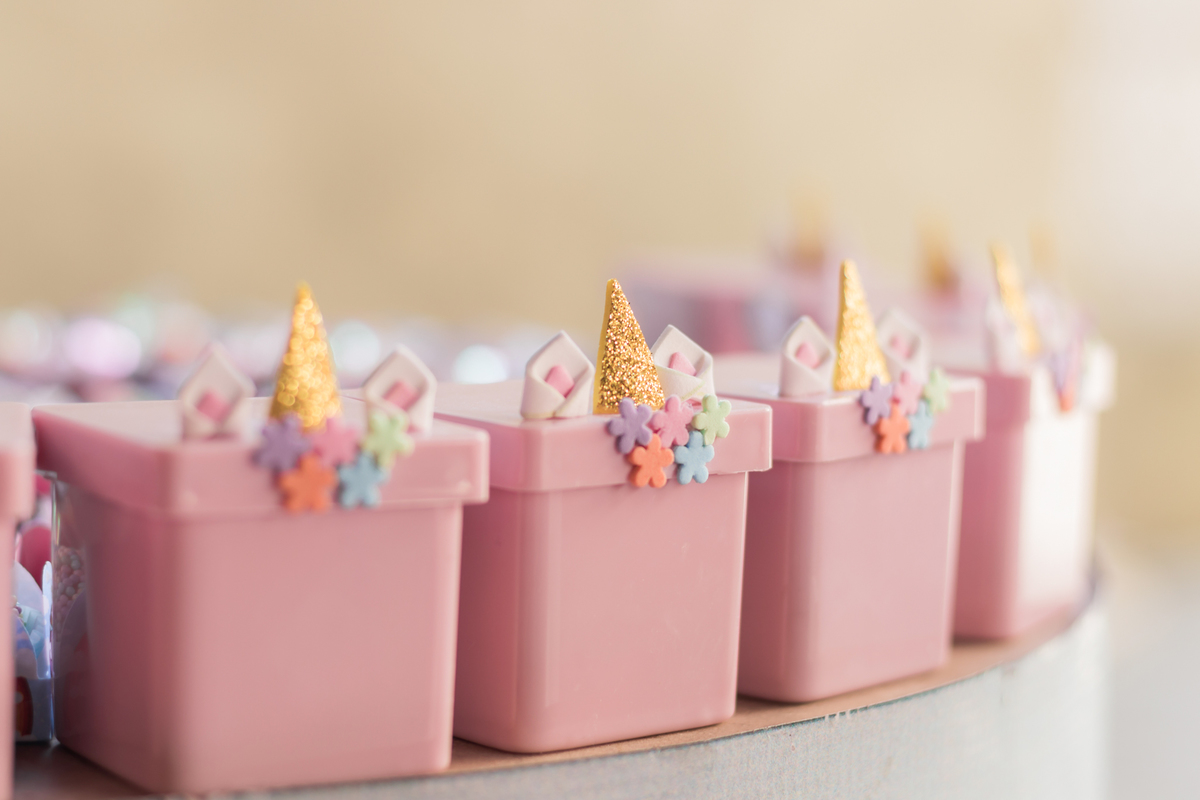 Aniversário infantil 4 anos, Chácara Jaraguá - São Paulo/SP