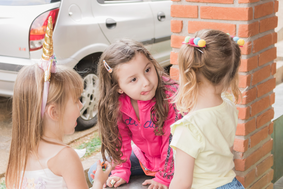 Aniversário infantil 4 anos, Chácara Jaraguá - São Paulo/SP