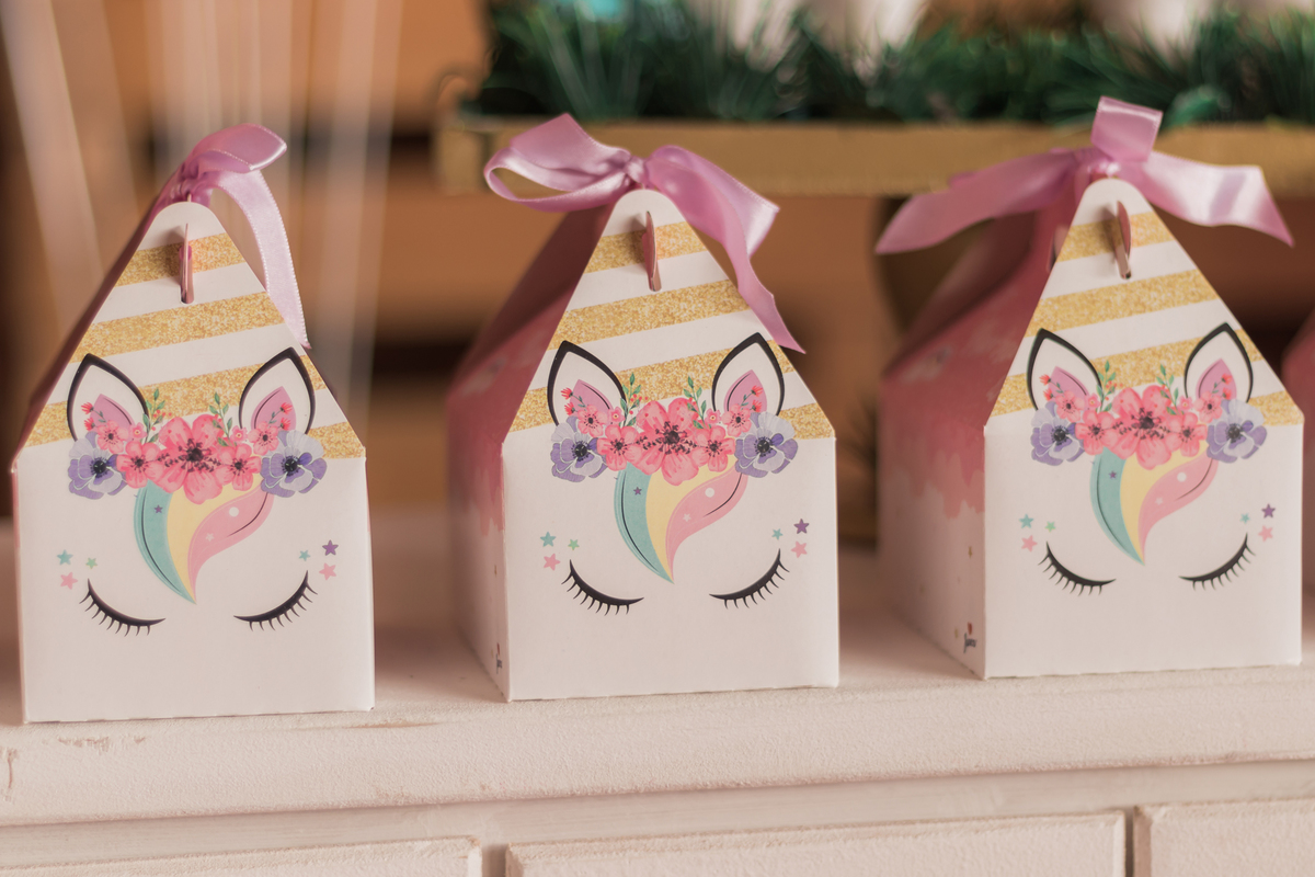 Aniversário infantil 4 anos, Chácara Jaraguá - São Paulo/SP