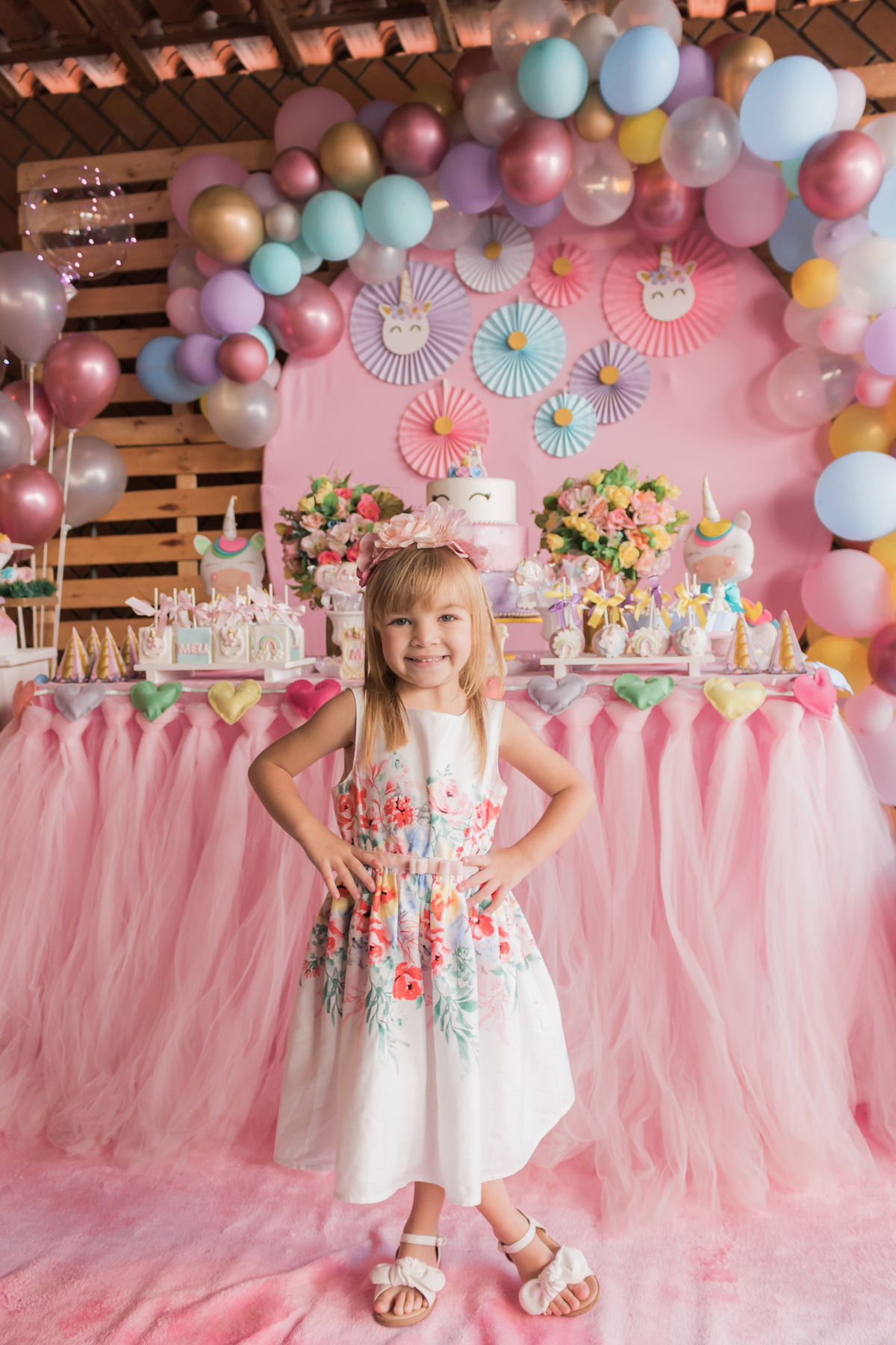 Aniversário infantil 4 anos, Chácara Jaraguá - São Paulo/SP