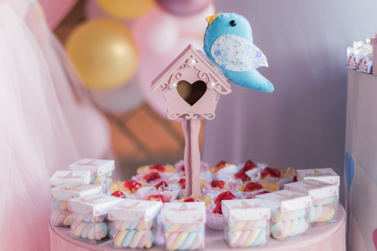 Aniversário infantil 4 anos, Chácara Jaraguá - São Paulo/SP