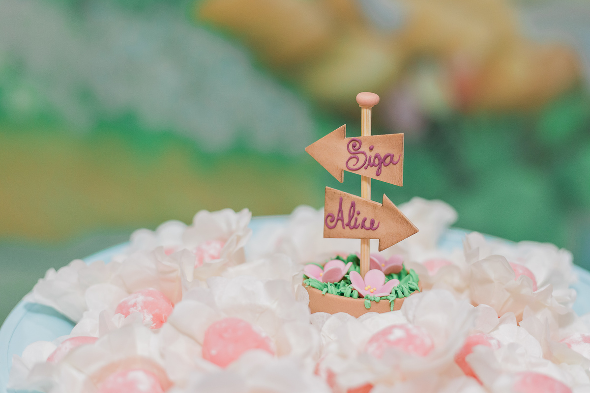 Aniversário infantil 5 anos, Balakatoon Eventos, Jabaquara - São Paulo/SP