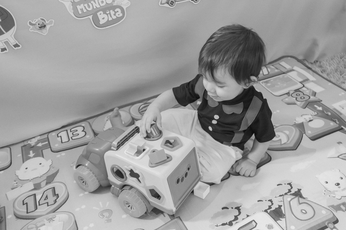Aniversário infantil de 1 aninho do Gregory em Itapecerica da Serra/SP
