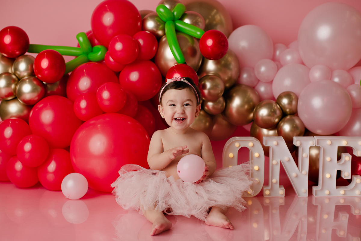 book Smash The Cake Curitiba