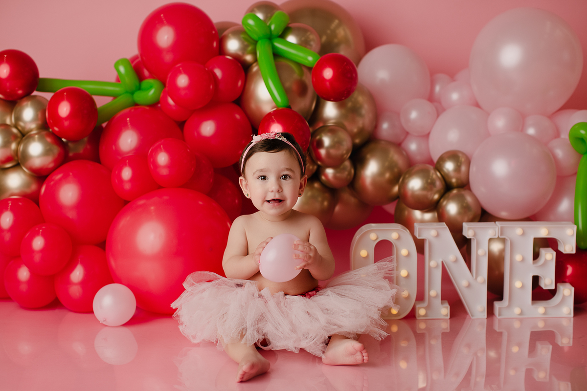 book Smash The Cake Curitiba