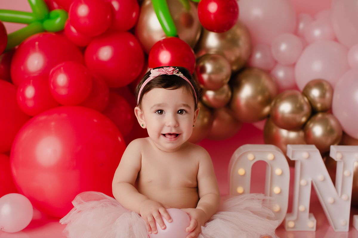 book Smash The Cake Curitiba