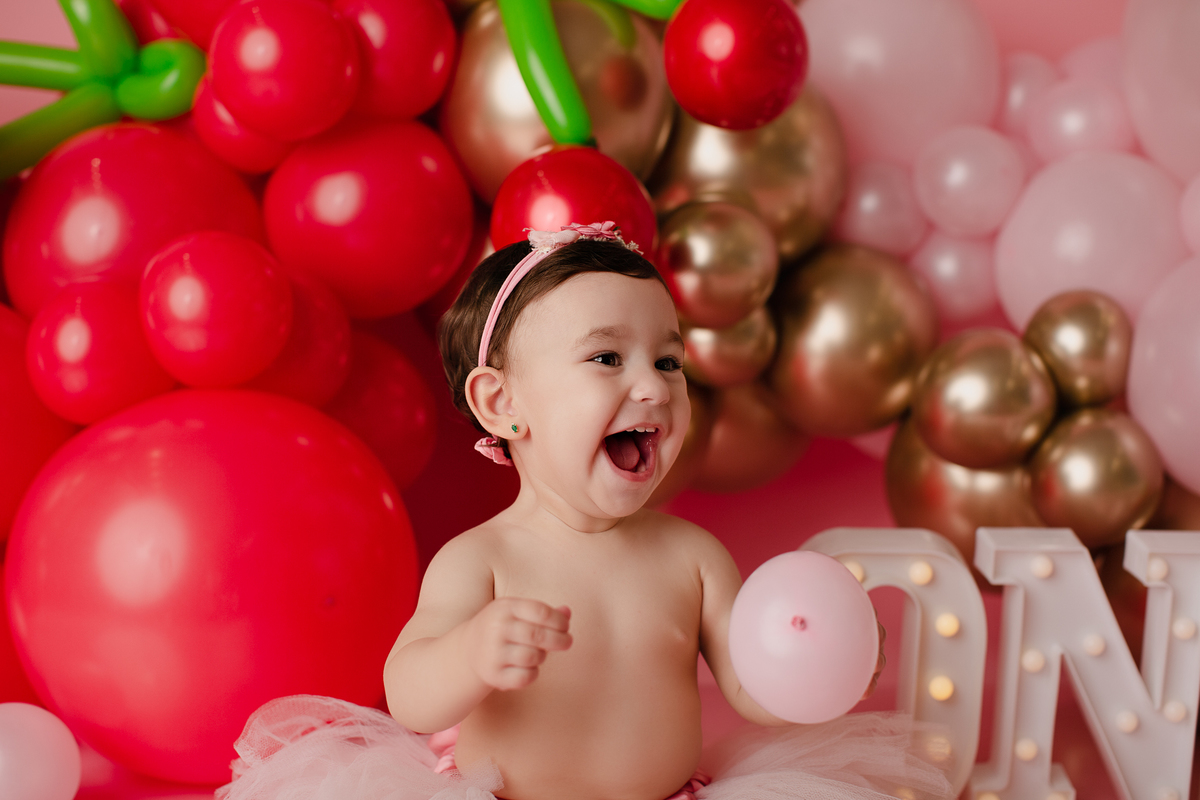 book Smash The Cake Curitiba