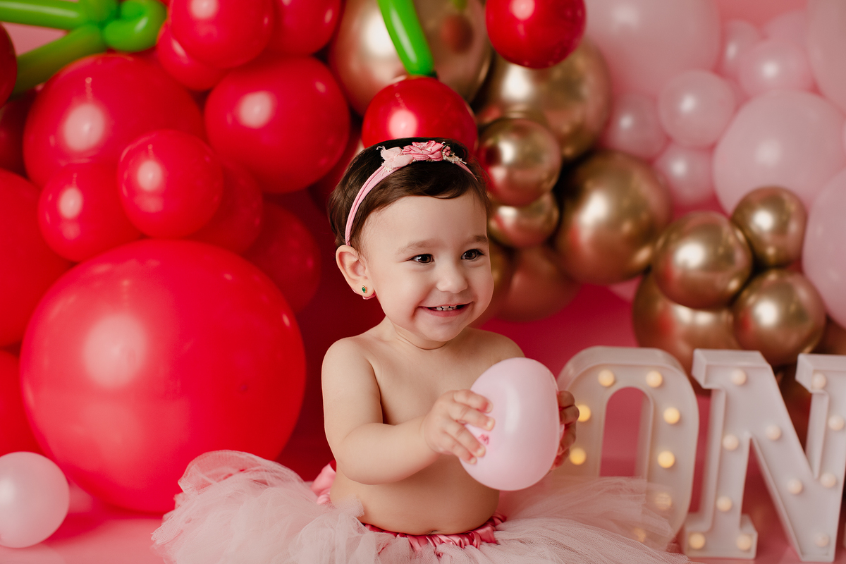 book Smash The Cake Curitiba