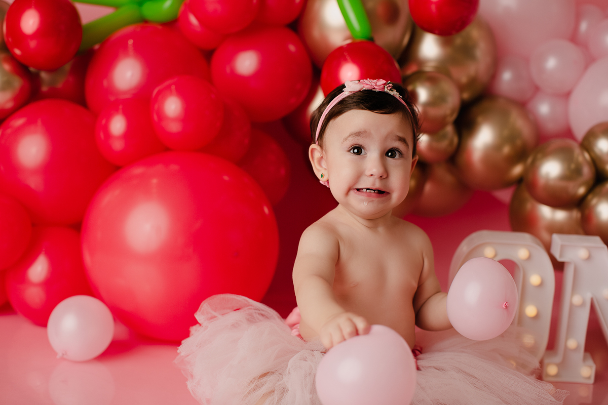 book Smash The Cake Curitiba