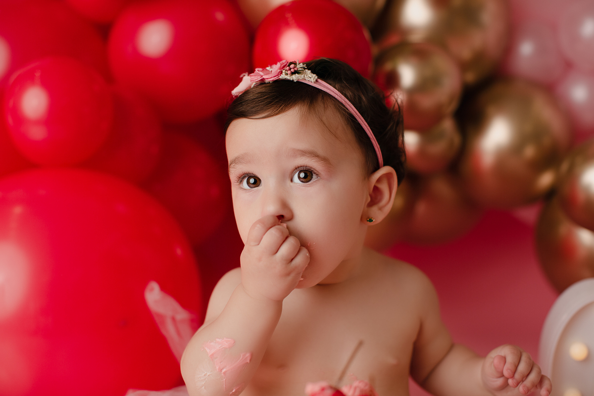 book Smash The Cake Curitiba