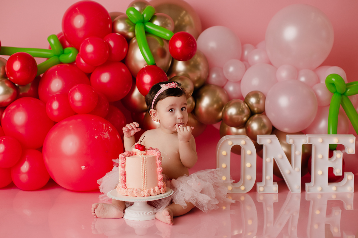 book Smash The Cake Curitiba