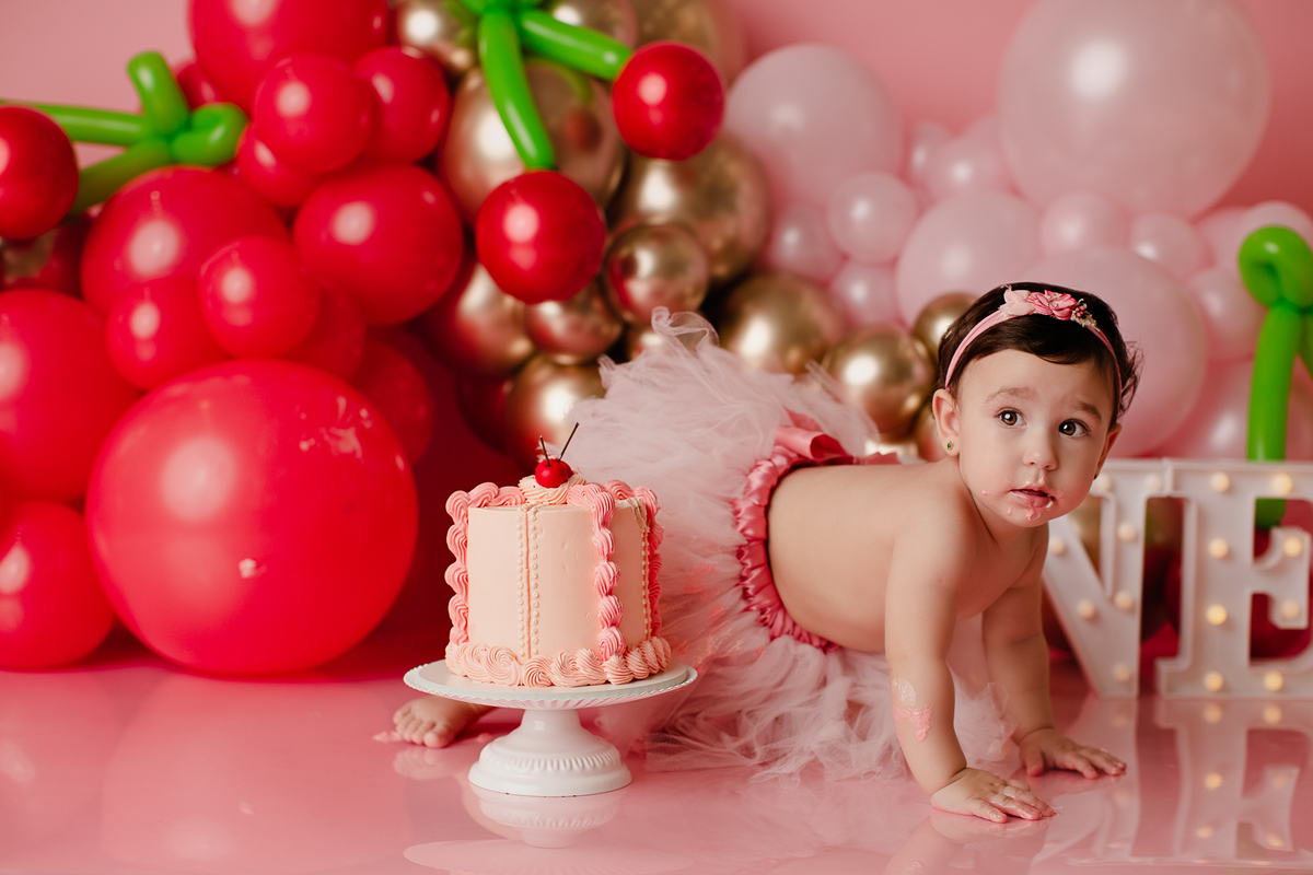 book Smash The Cake Curitiba