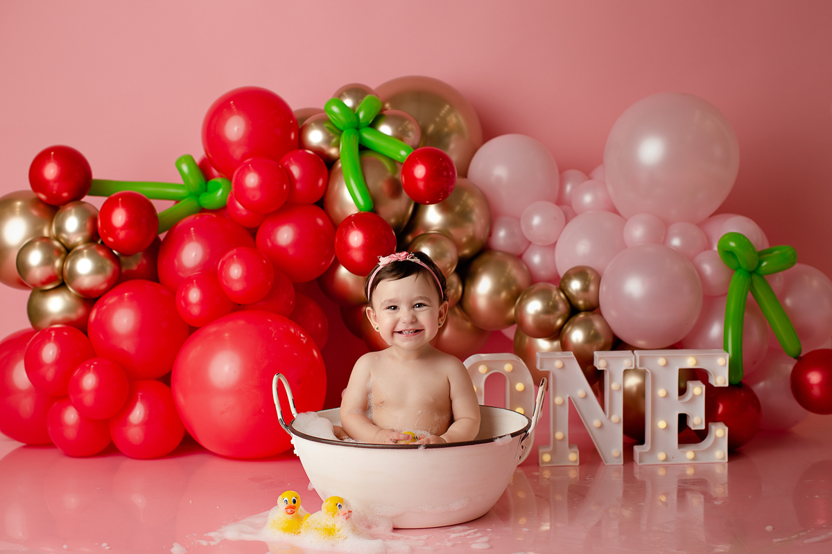 book Smash The Cake Curitiba