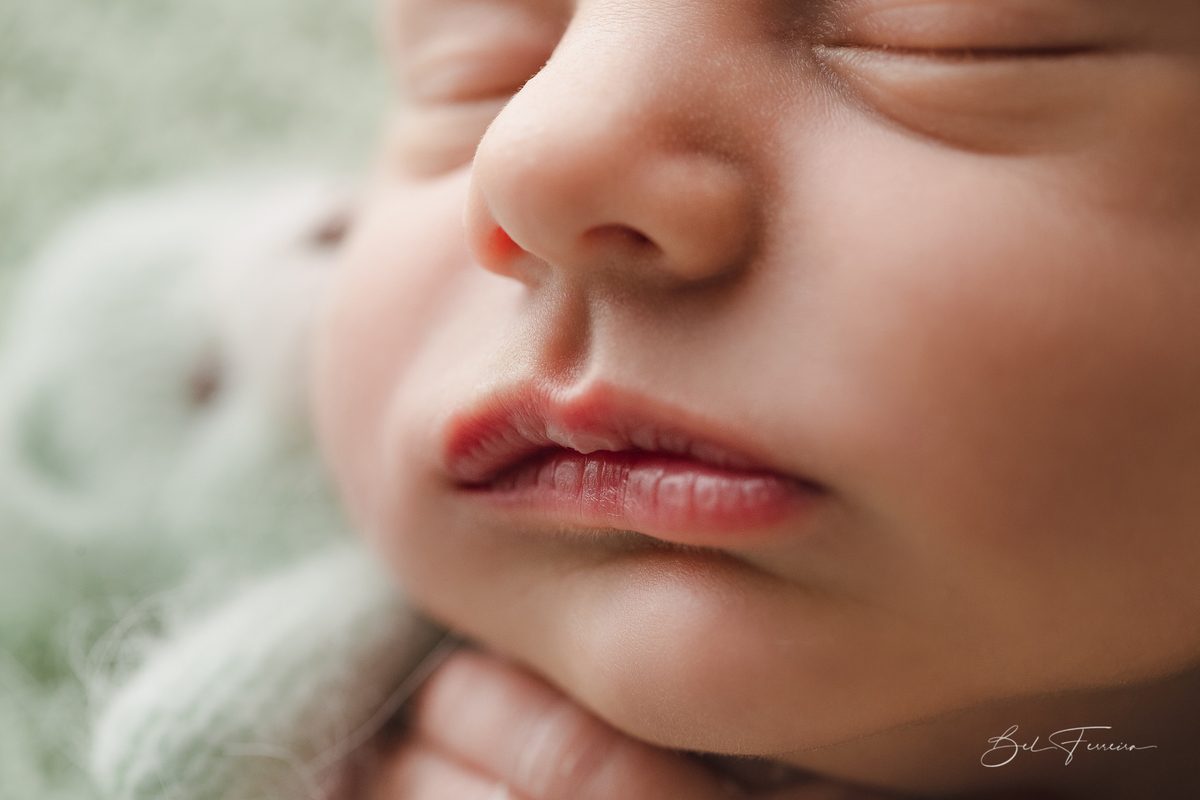 book newborn Curitiba