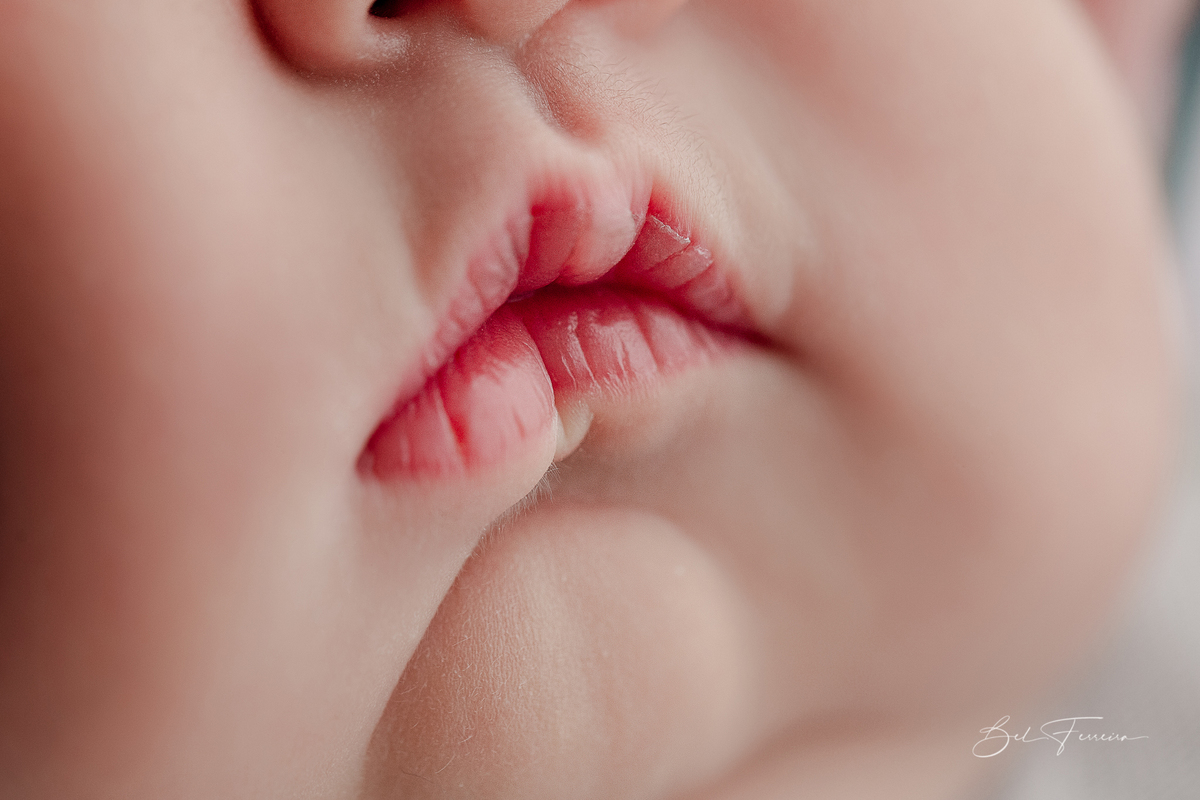 Book Newborn Curitiba