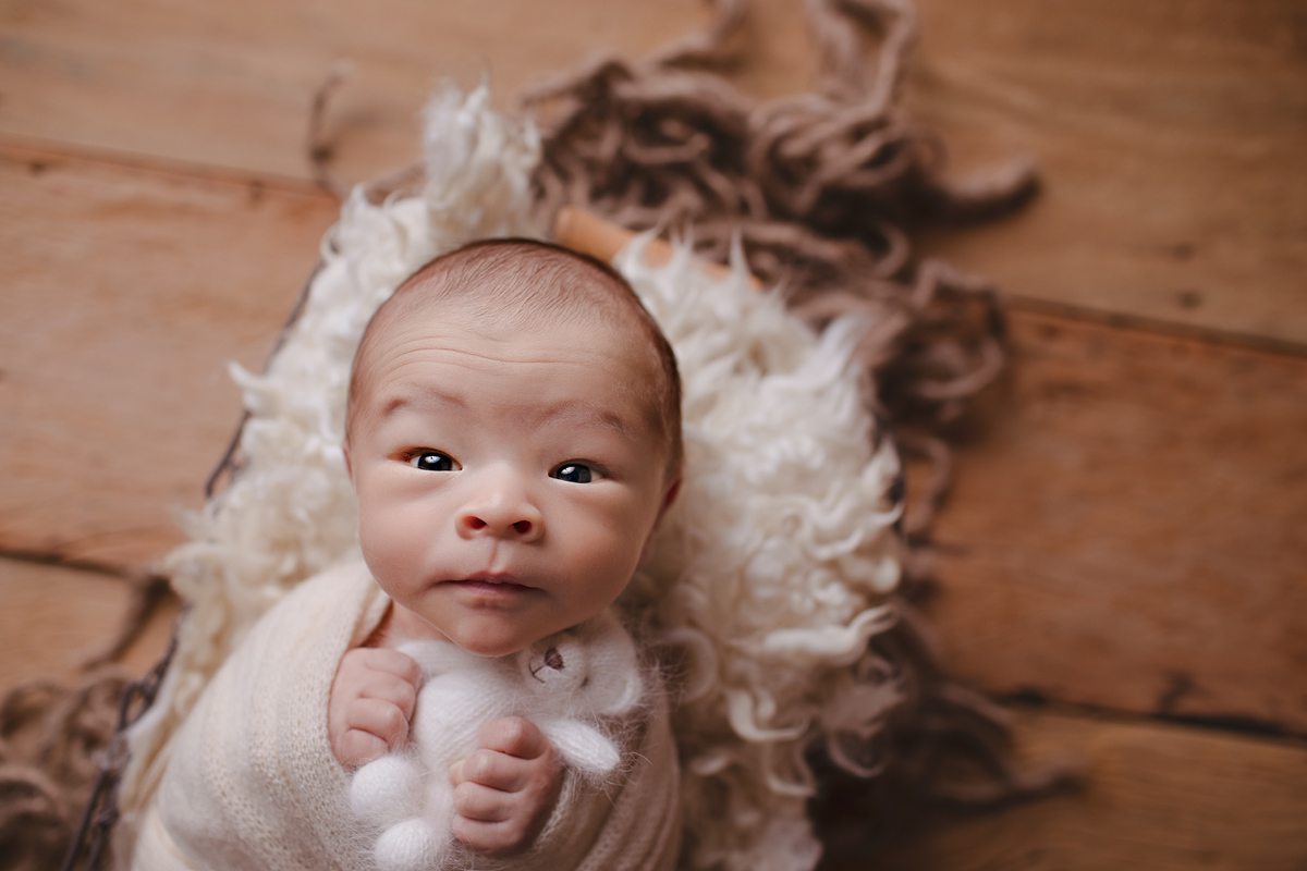 book newborn curitiba