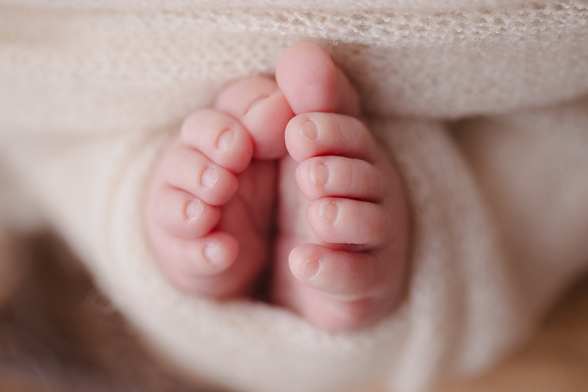 book newborn curitiba