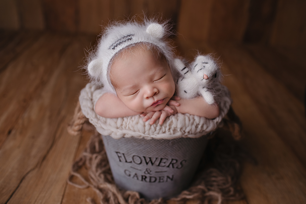 book newborn curitiba