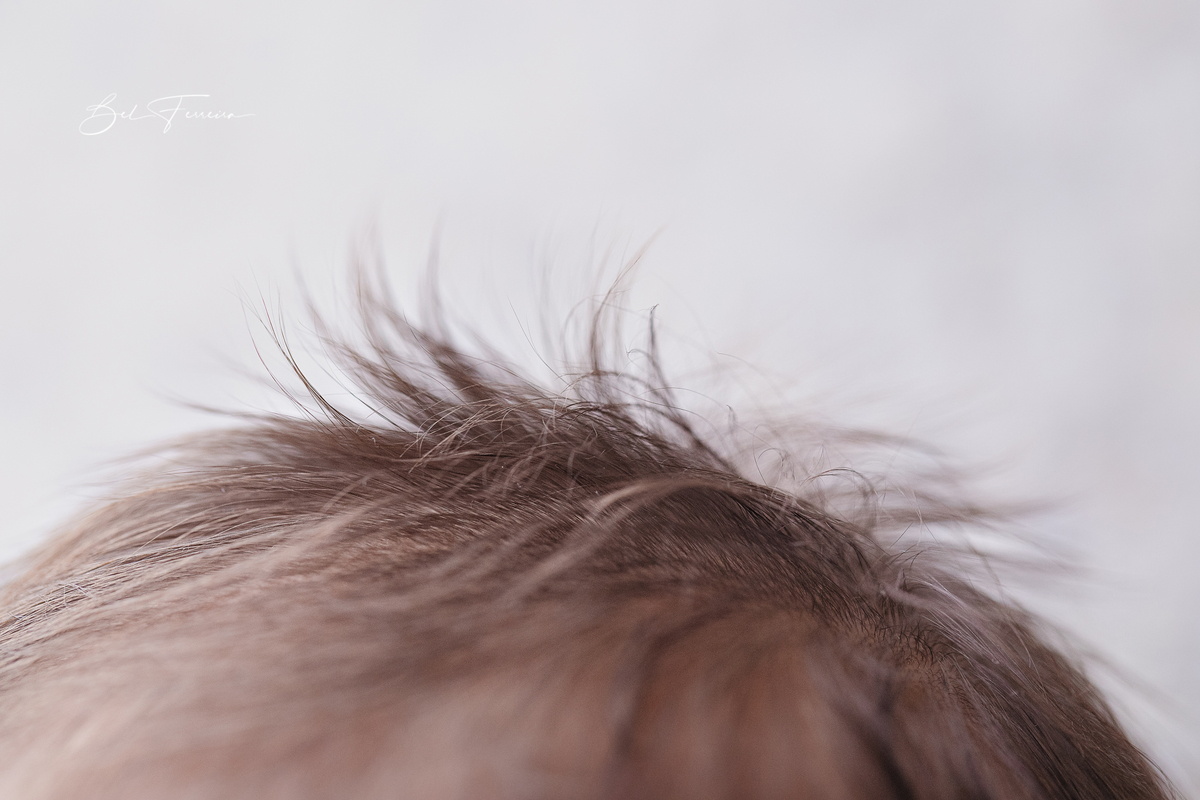 Book de recém nascido Bel Ferreira