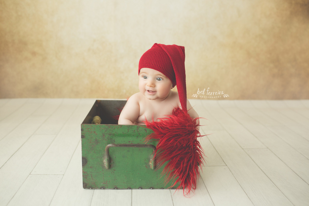 book-acompanhamento-bel-ferreira