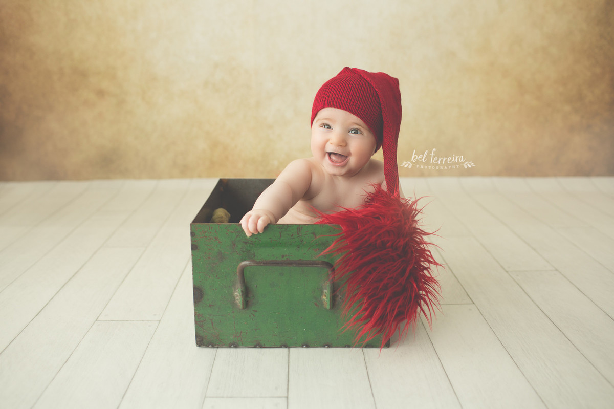 book-acompanhamento-bel-ferreira