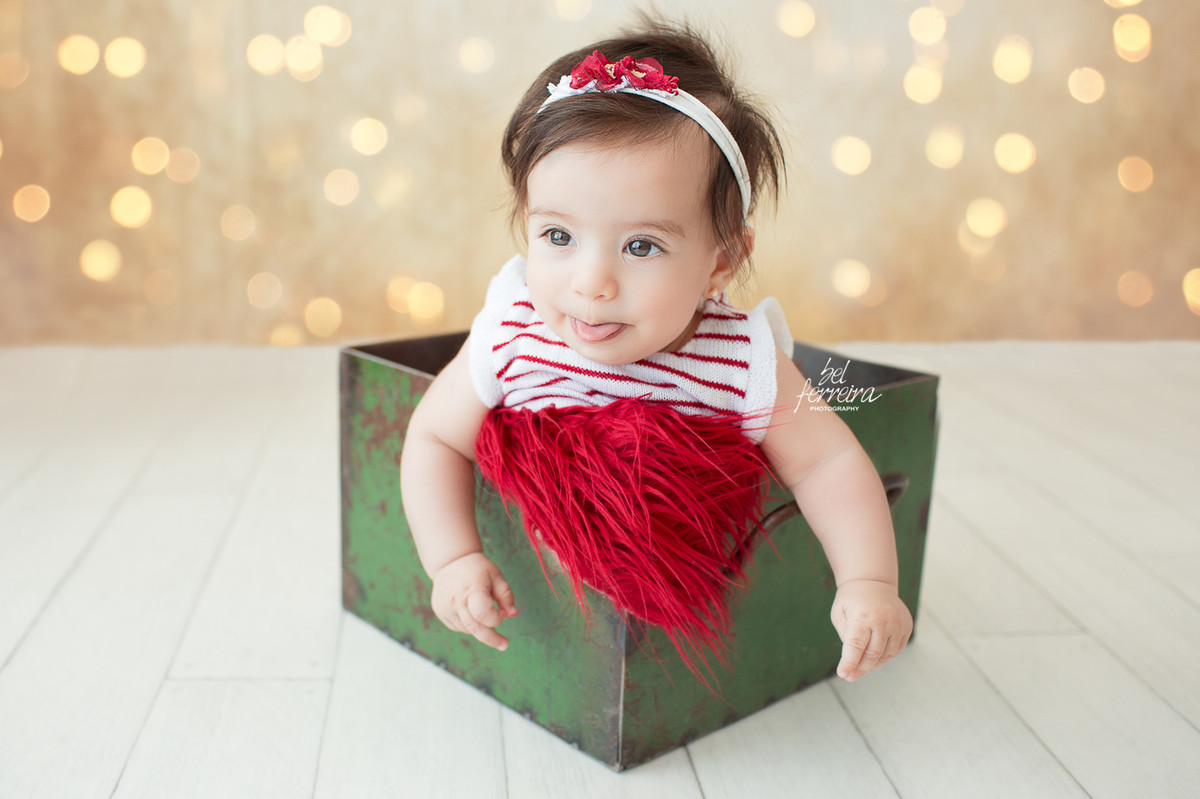 book-acompanhamento-bel-ferreira