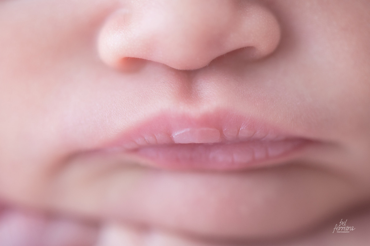 newborn- belferreira-book-curitiba