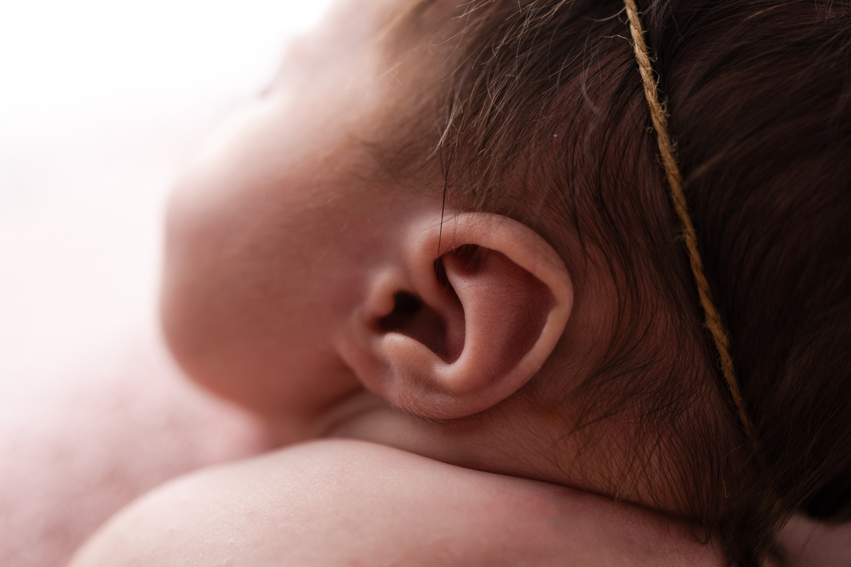 Book newborn curitiba